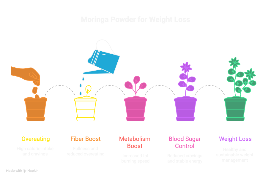 moringa pwder benefits